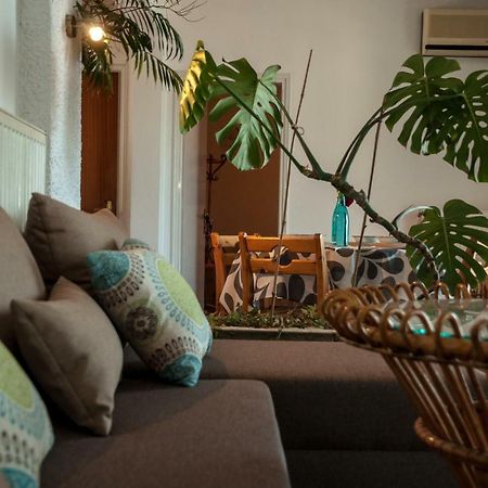 Paradise View Apartment PalaiónTsiflíkion Zewnętrze zdjęcie