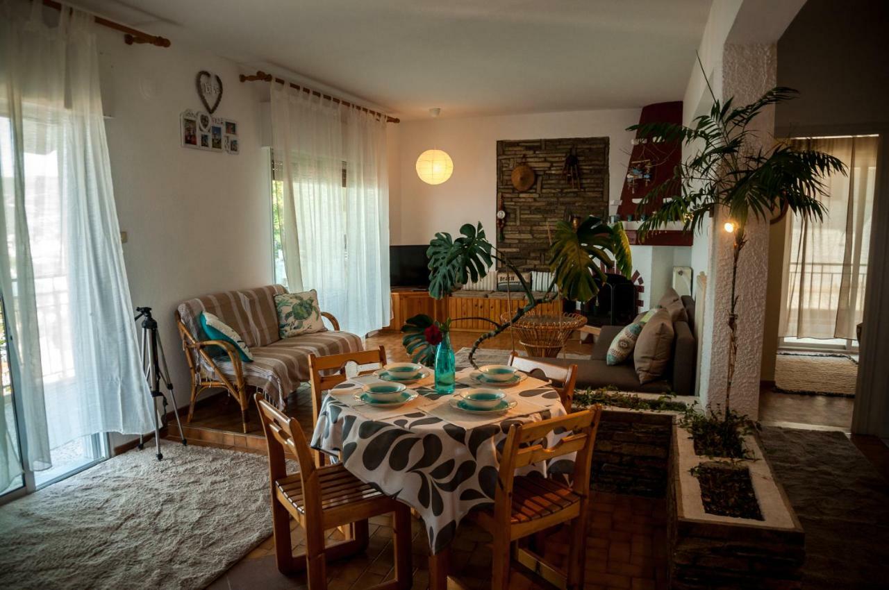 Paradise View Apartment PalaiónTsiflíkion Zewnętrze zdjęcie