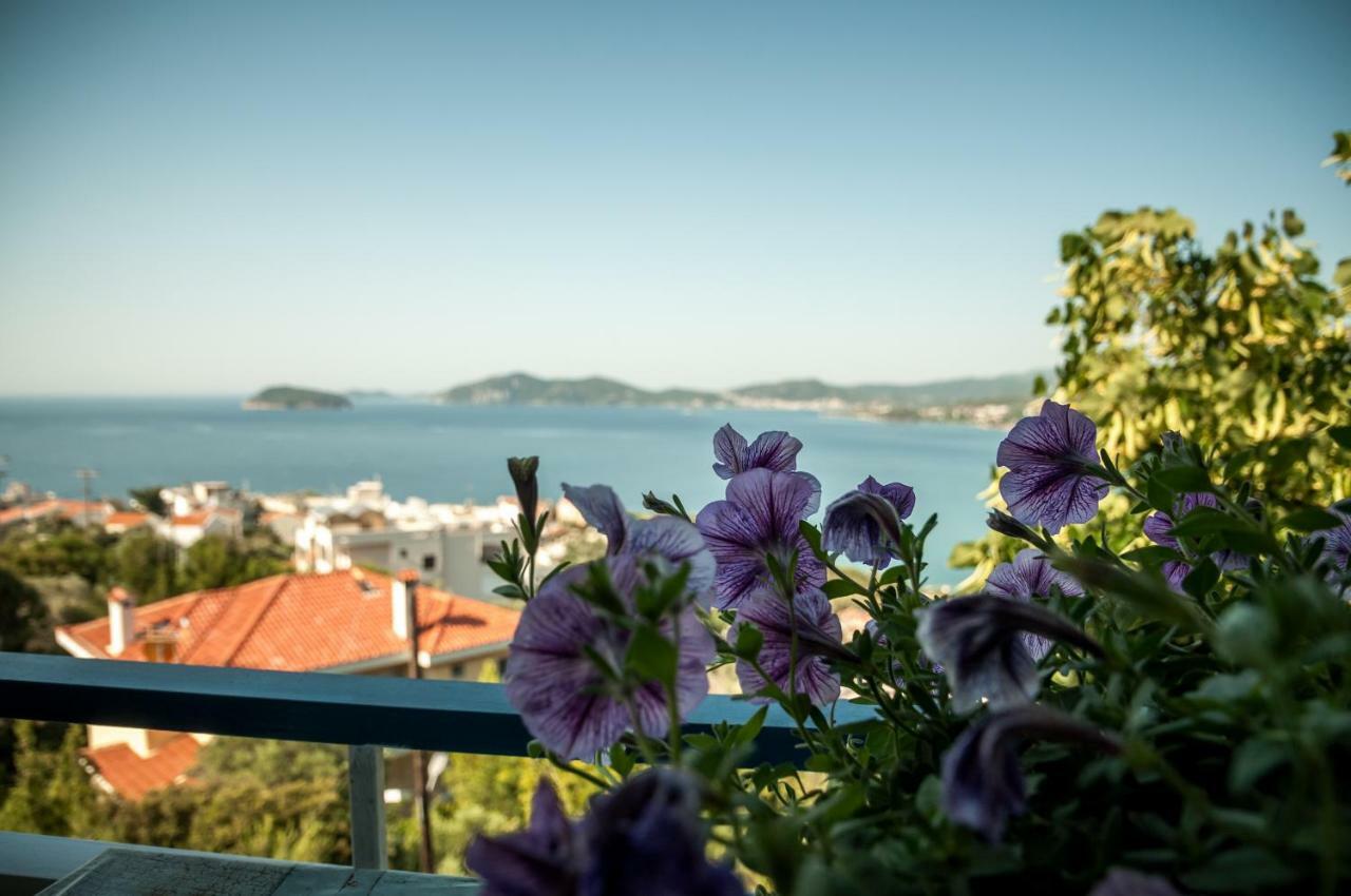 Paradise View Apartment PalaiónTsiflíkion Zewnętrze zdjęcie